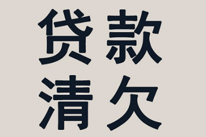 法定代表人及股东个人借款的偿还责任问题